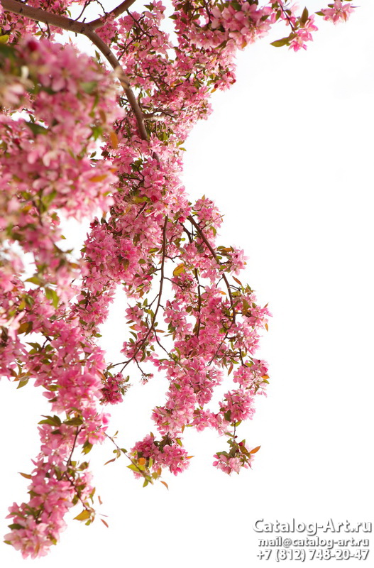 Blossom tree 35
